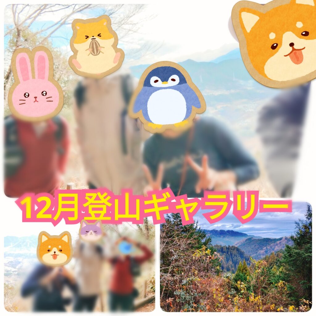 ゆるめの日帰り登山